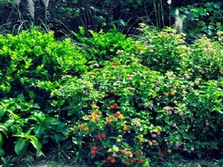 香泉映月生态旅游度假区