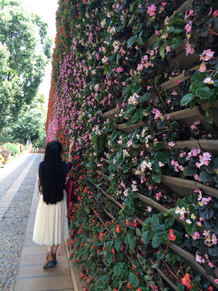 颜值不够高,所以转型背影系列.满墙壁的花儿.都是真花啊.