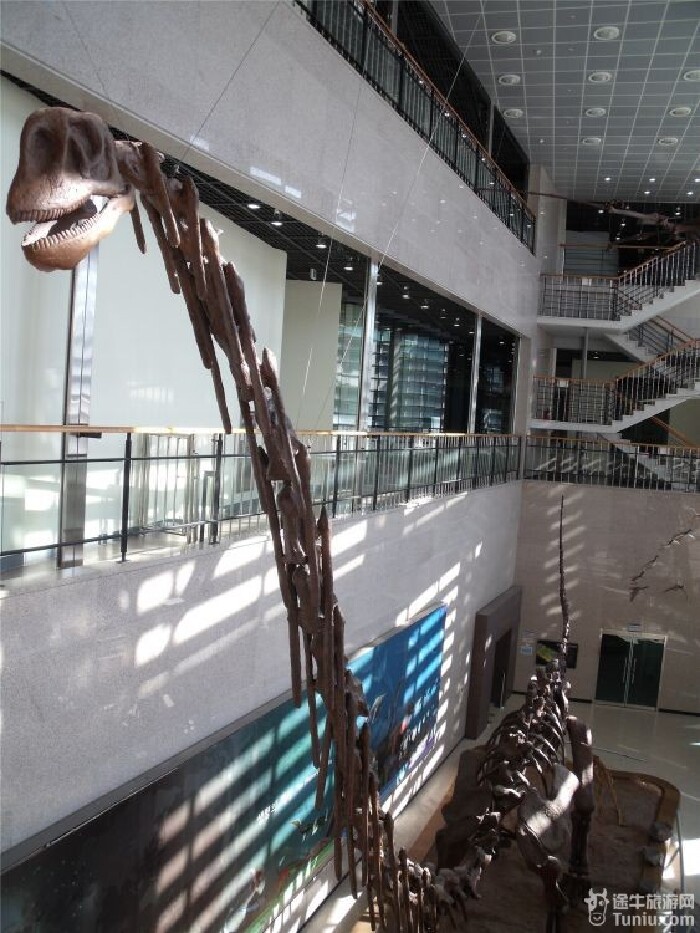 恐龙化石海云台龙头山公园晚上入住大邱市.