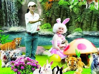 香江野生动物世界