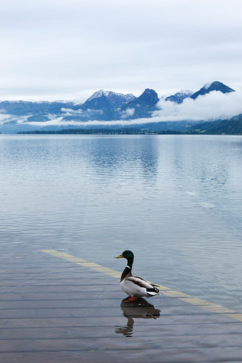 奥地利游_欣赏奥地利风景_景点介绍