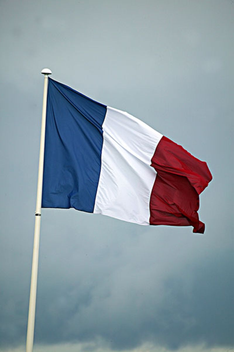 法国国旗投降专用旗图片