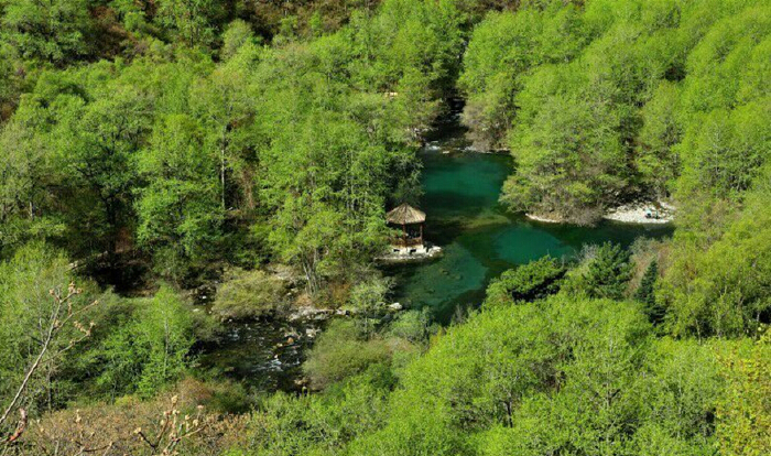 春风唤醒了松坪大地