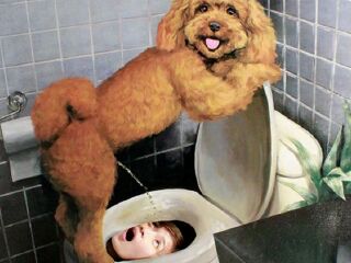 首尔爱来4D艺术馆（仁寺洞本馆）