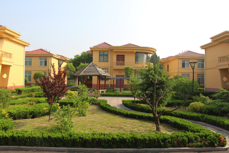 初夏,周末原生之旅(原山——莒县)