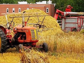 埃德蒙顿古堡公园