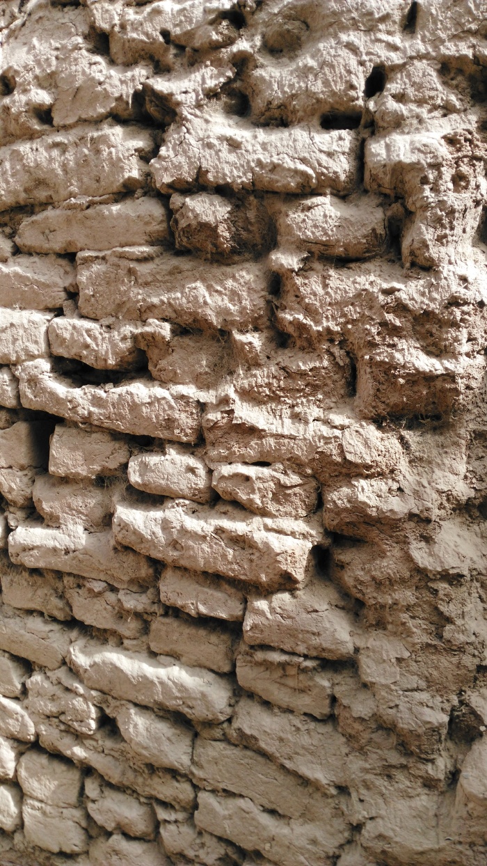 小巷两侧是民居的外墙开着一扇扇的门,剥落了的麦草泥下露出砖砌的