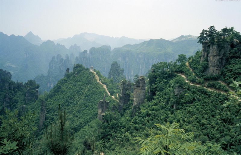    張家界旅遊之鳳棲山,鳳棲山的名字是因為山中有一仕似