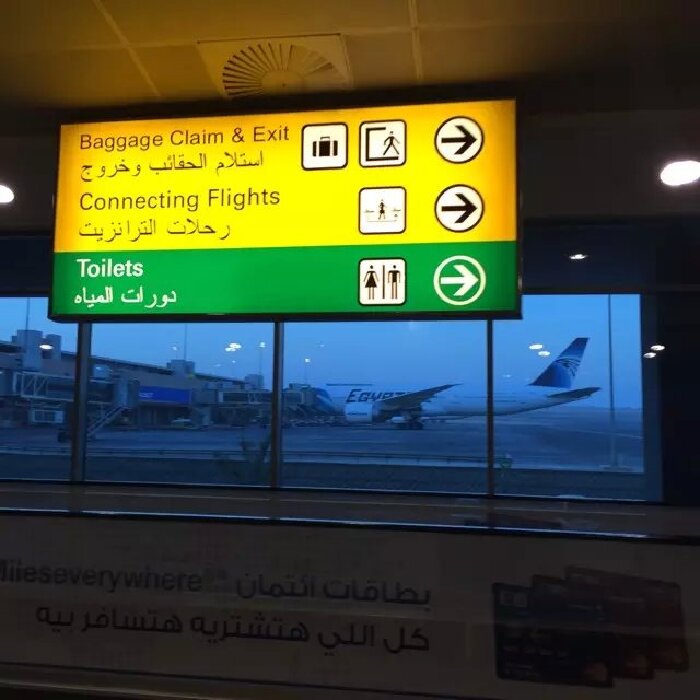 流火的八月,野到埃及去--订单编号:5877677