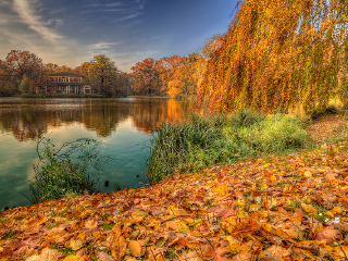 德累斯顿大花园