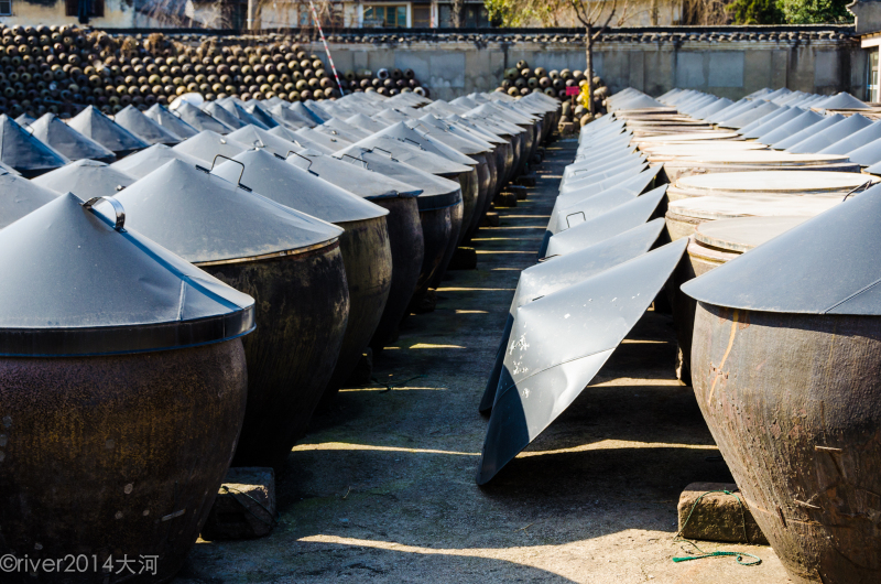 一个个酱缸正在享受着阳光的照射,晒出来的