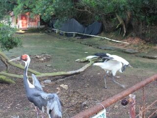 厦门海沧野生动物园