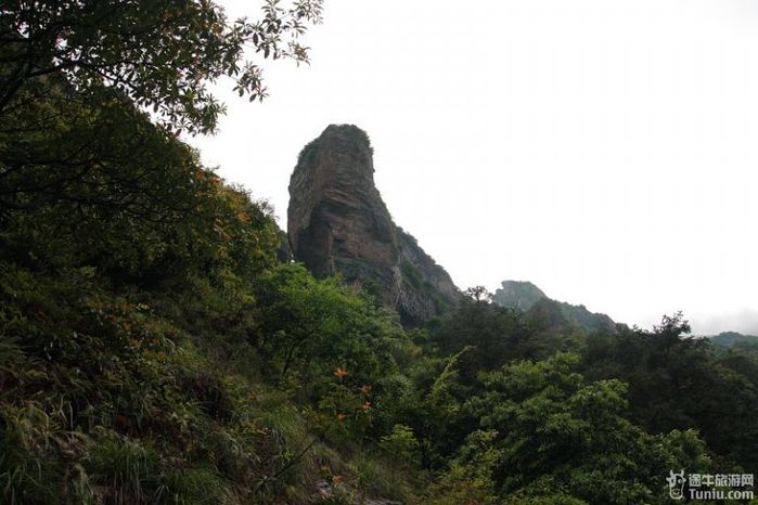 雁荡山阳刚峰图片