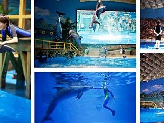 武汉海昌极地海洋公园