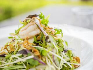 玛玛努卡群岛托阔里奇岛度假村