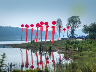 万紫千红植物园