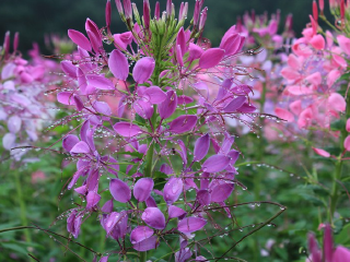 成都石象湖景区