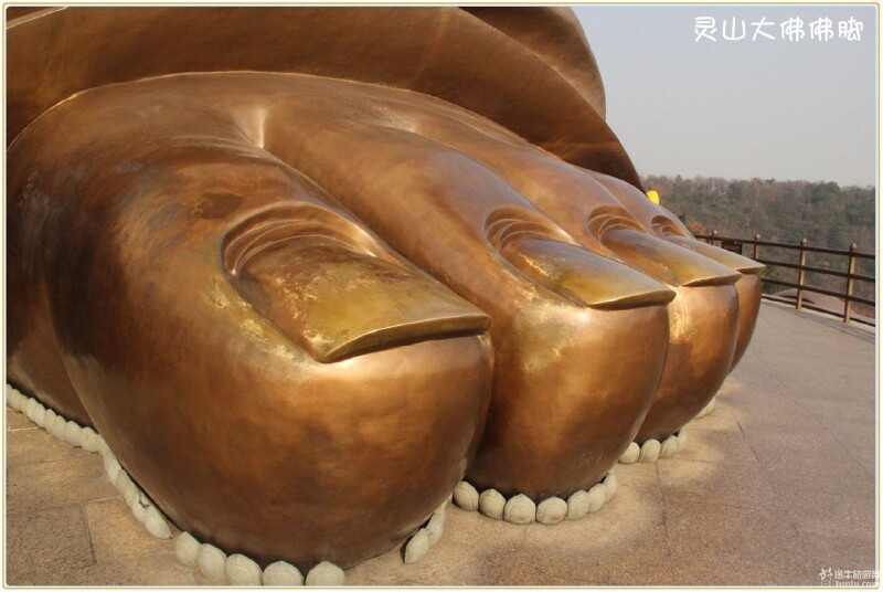 我也来临时报下佛脚哦~站在这高高的登云道之上,灵山大佛足下,整个