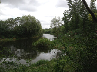 新江湾城湿地公园