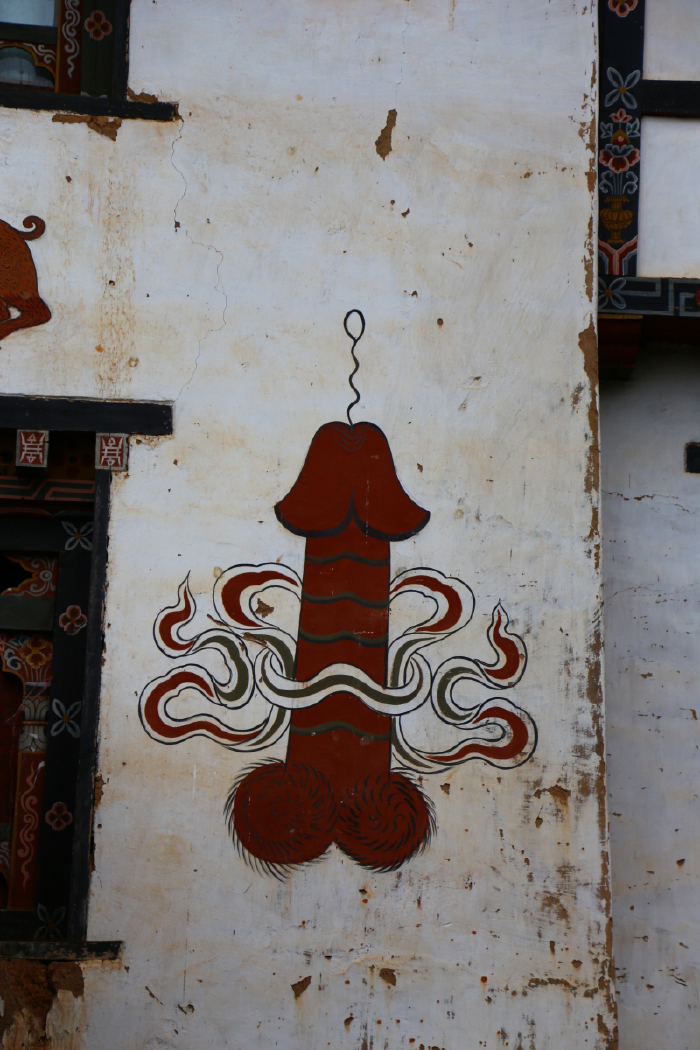 【尼泊尔不丹】云中漫步,梦幻之旅(万字游记 百张图片)