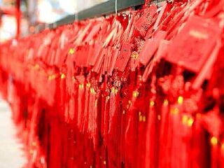 宝华山国家森林公园