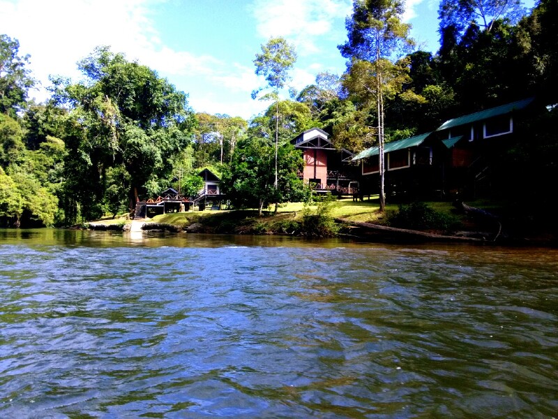 进国家公园去丛林漫步