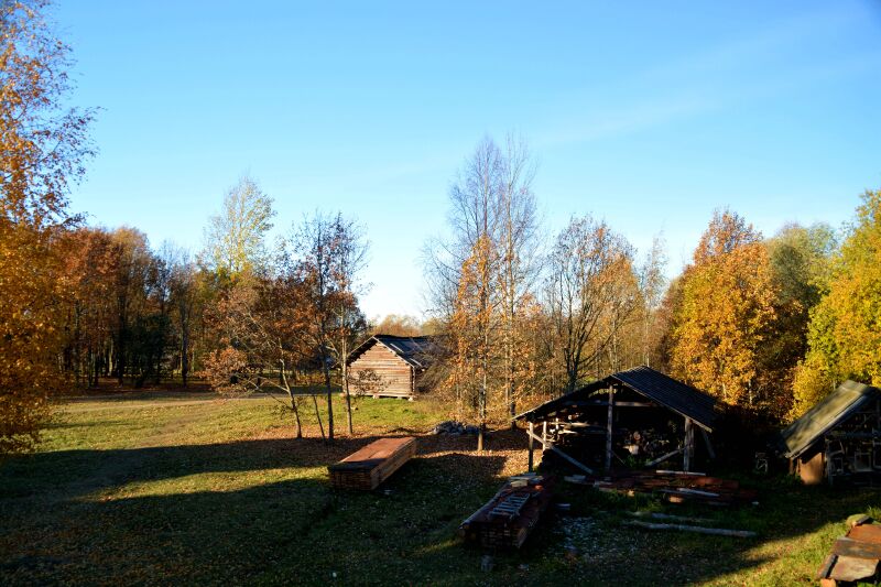 实在太美丽,真是金色的俄罗斯.俄罗斯,西伯利亚平原的风光无限美好.