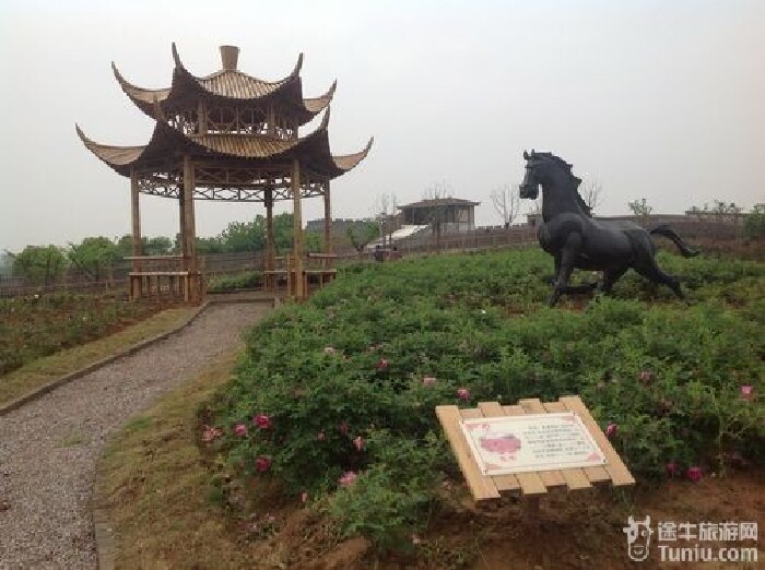 南京江宁新五朵金花之马场山