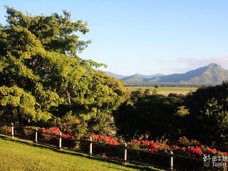 卡塞拉飞鸟公园