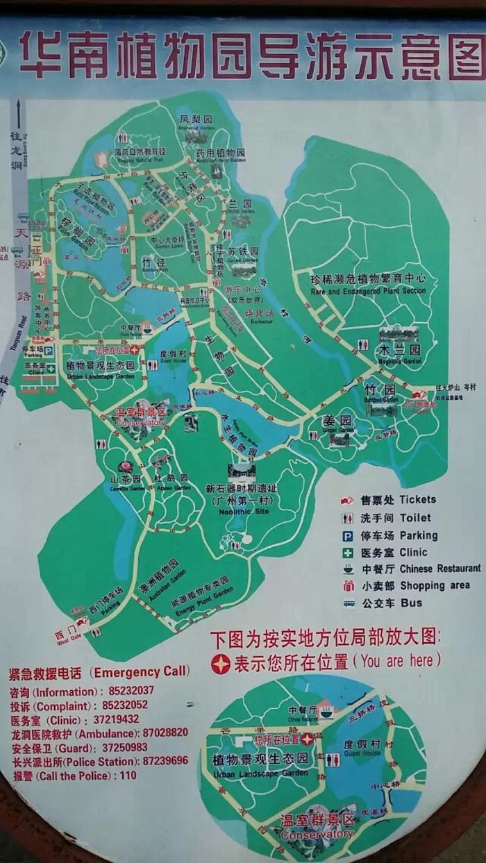 华南植物园介绍图片