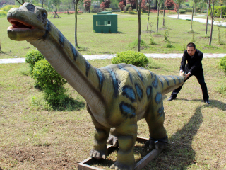 泰州凤城河田园牧歌景区