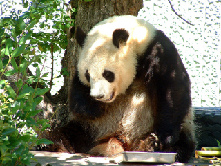 神户市立王子动物园