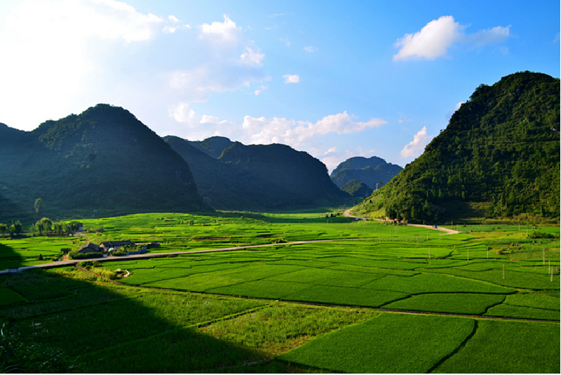 茂兰自然保护区