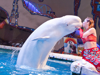 大连圣亚海洋世界