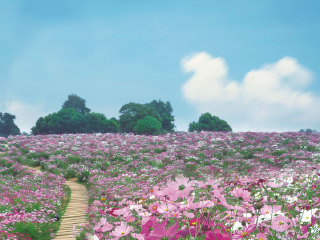 成都石象湖景区