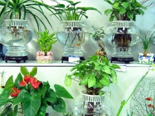 杨凌现代农业创新园