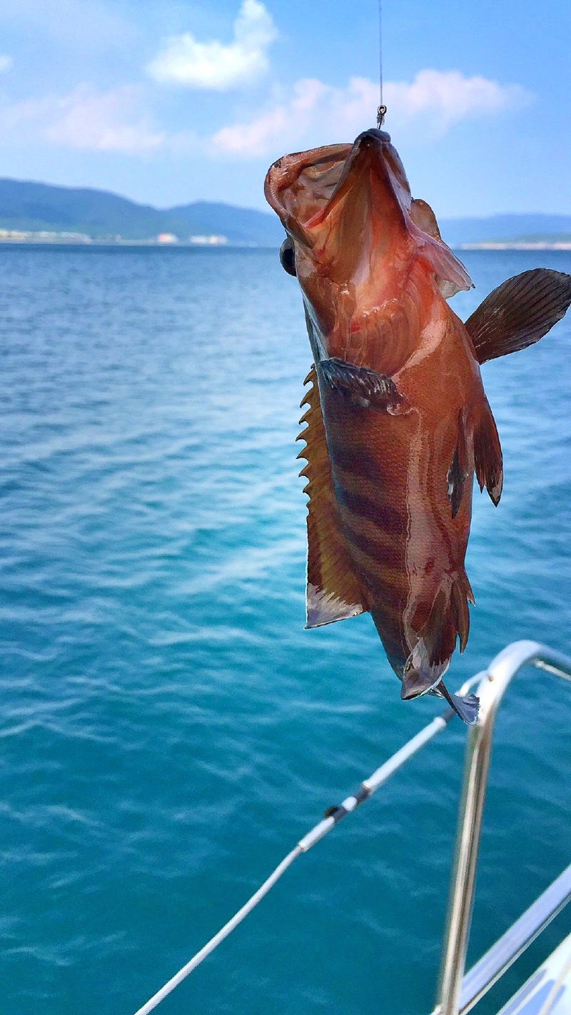 去三亚看美女の私人定制の游艇上的慢生活