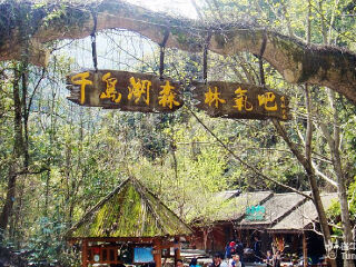 千岛湖森林氧吧