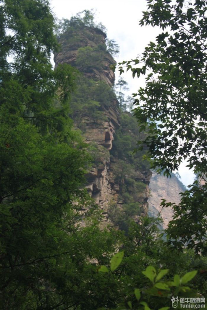 文星岩——峰顶如人面浮雕说是似鲁迅