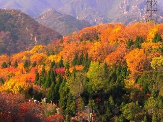 北京怀柔崎峰山国家森林公园