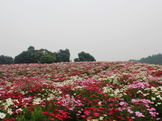 成都石象湖景区