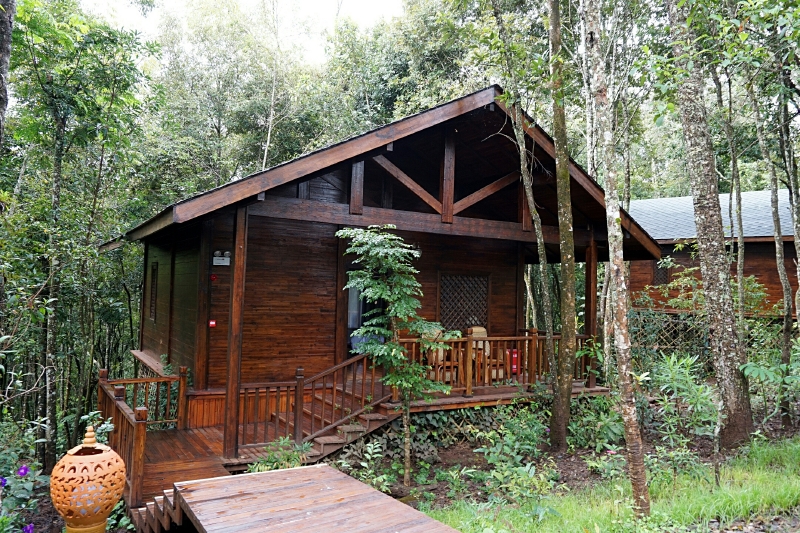 每栋木屋的前面与后面都有阳台,很有范儿啦