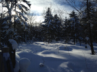 大秃顶子山风景区