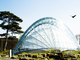 北极高山植物园