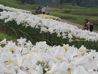 成都石象湖景区