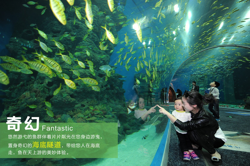 成都海濱城浩海立方海洋館門票價格-成都海濱城浩海立方海洋館門票