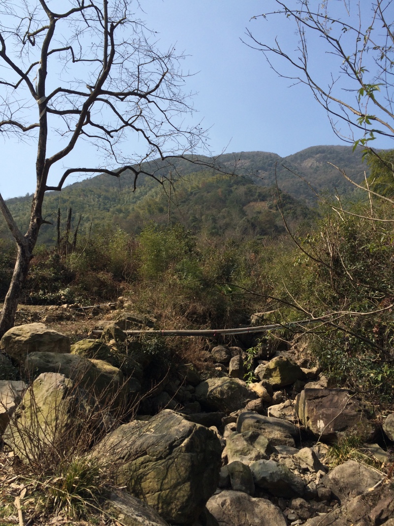 绿水青山亦是金山银山--杭州市余杭区黄湖镇青山村我的实习随记