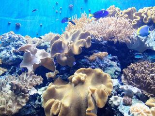 屏东国立海洋生物博物馆