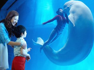 大连圣亚海洋世界