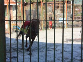 厦门海沧野生动物园